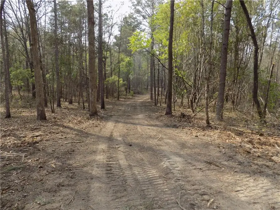 Lot 2 Macon County Road 24, Auburn, AL 36830 - #3