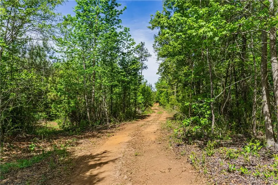 0 Lee Road 293, Smiths Station, AL 36877 - #3