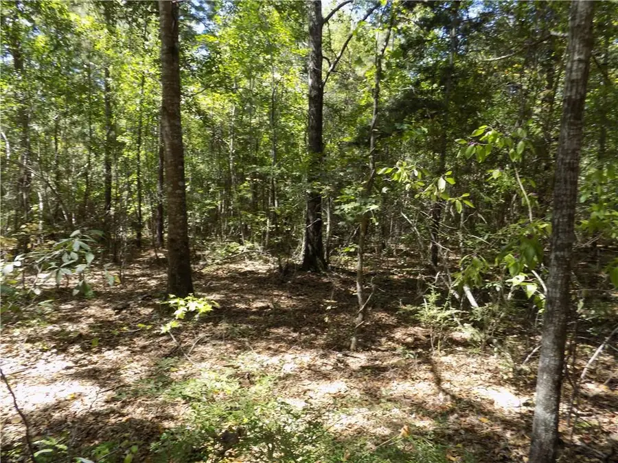 Lot 3 Macon County Road 24, Auburn, AL 36830 - #2
