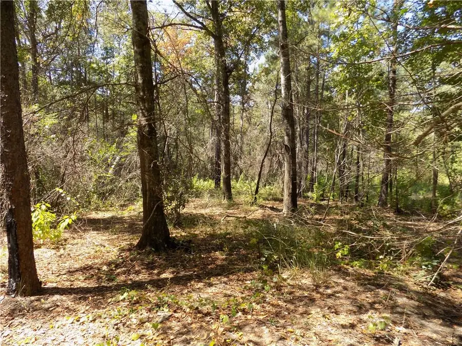 Lot 3 Macon County Road 24, Auburn, AL 36830 - #3