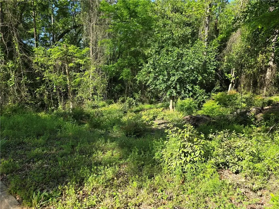 0 Country Club Drive, Eufaula, AL 36027 - #2