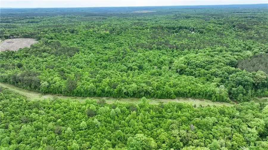 1850 Lee Rd 140, Salem, AL 36874 - #3