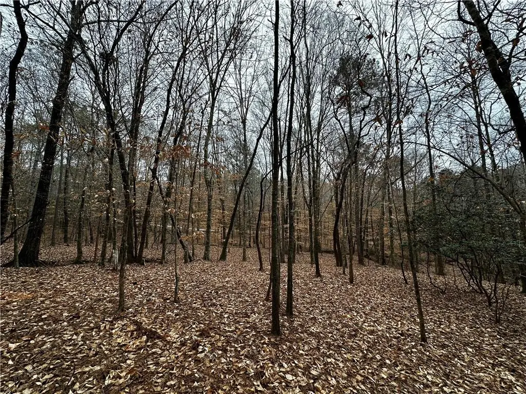 0 Lee Road 367, Valley, AL 36854 - #1