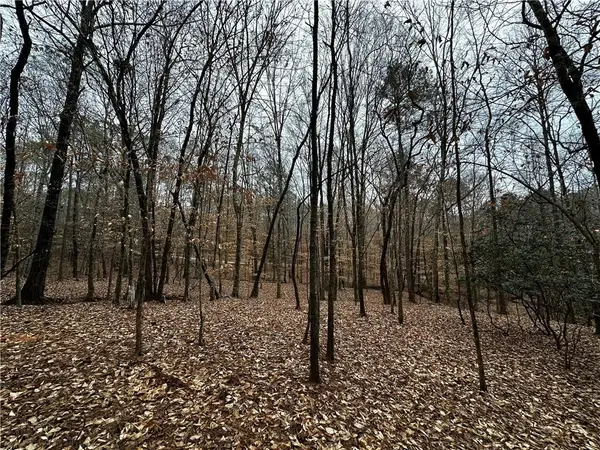 0 Lee Road 367, Valley, AL 36854