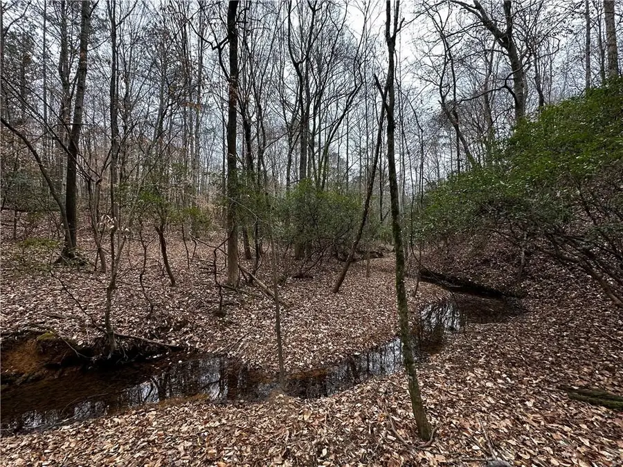 0 Lee Road 367, Valley, AL 36854 - #2
