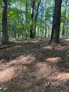 46 Davis Road, Hiram, GA 30141 - #2