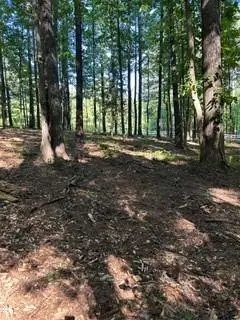 46 Davis Road, Hiram, GA 30141 - #3