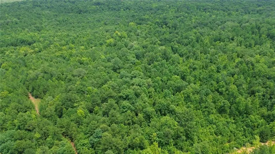 0 County Rd 34, Hurtsboro, AL 36860 - #2