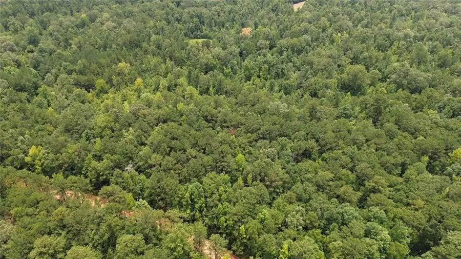 0 County Rd 34, Hurtsboro, AL 36860 - #3