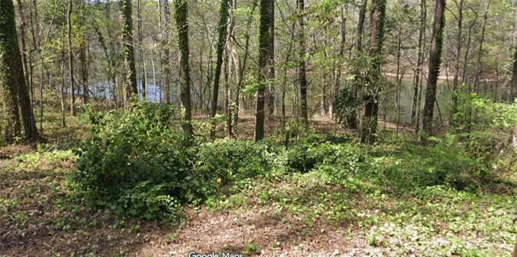 LOT 56 Hawthorne Drive, Waverly Hall, GA 31831 - #1