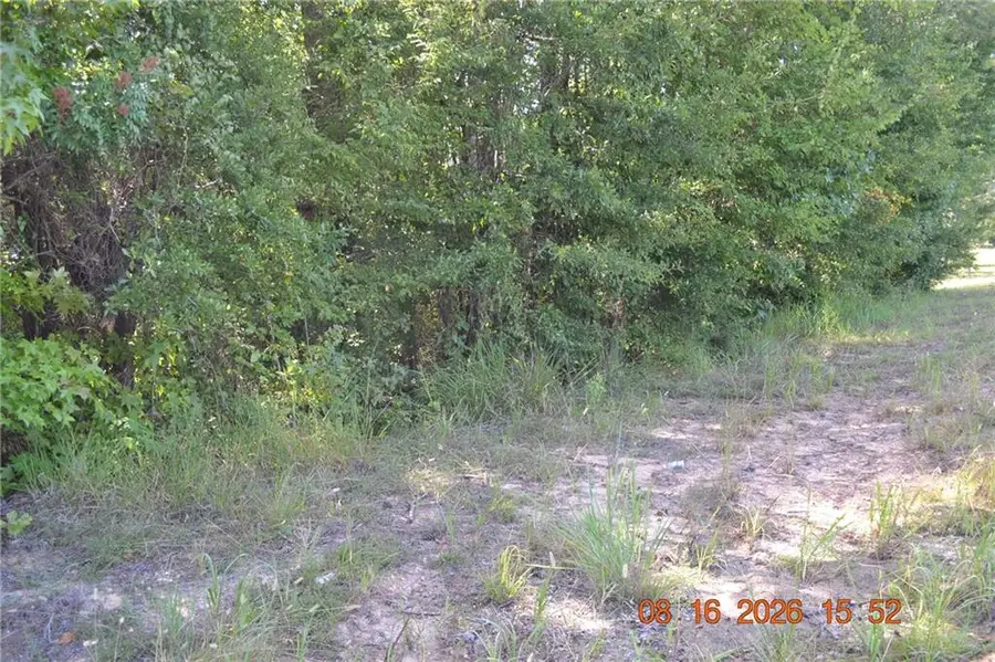 0 Lee Road 179, Salem, AL 36874 - #2