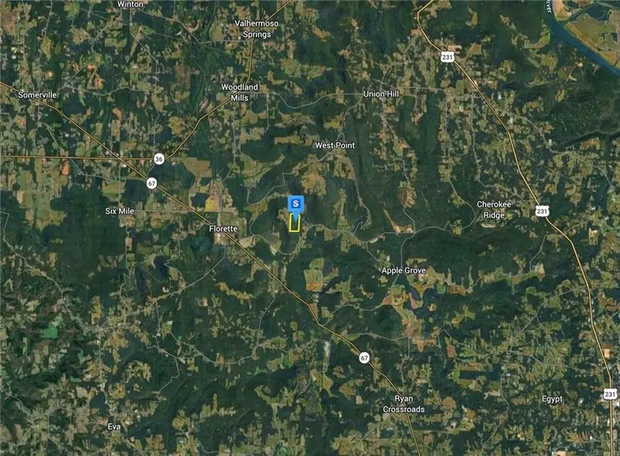 799 Pines Church Road, Somerville, AL 35670 - #3
