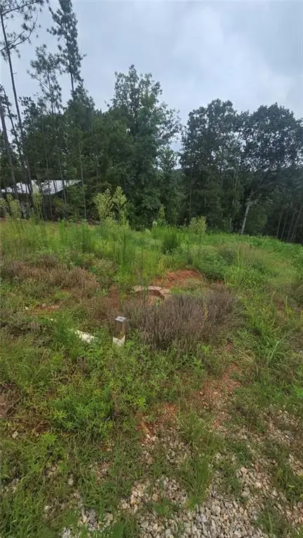 395 Foster Cove Drive, Lineville, AL 36266 - #2