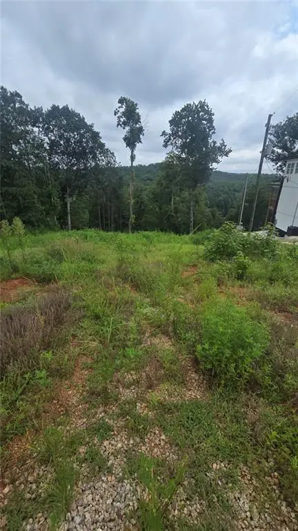 395 Foster Cove Drive, Lineville, AL 36266 - #3