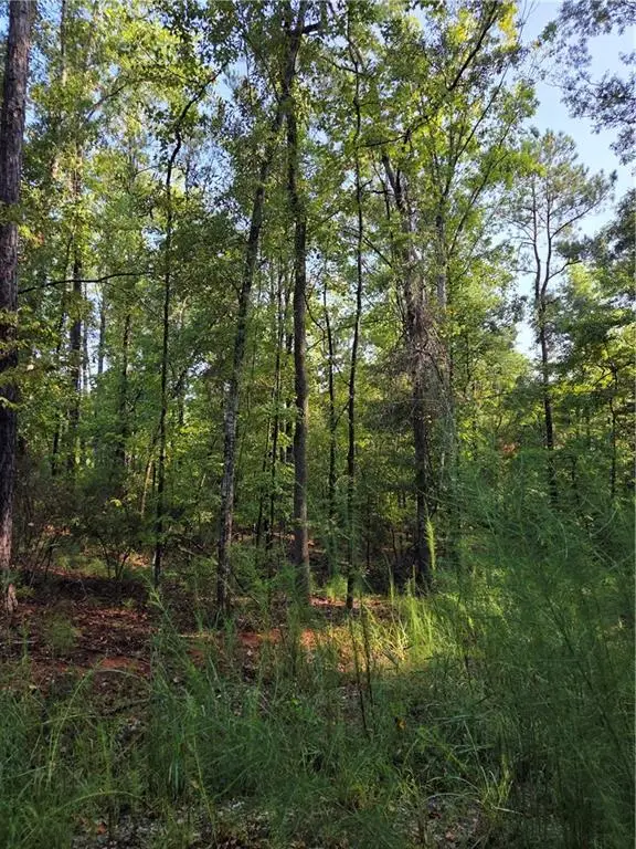 3982 Essex Heights Court, Fortson, GA 31808 - #1