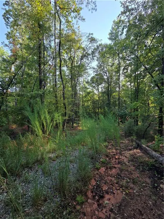 3982 Essex Heights Court, Fortson, GA 31808 - #2