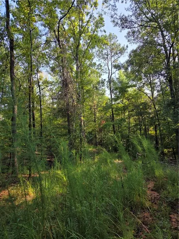 3982 Essex Heights Court, Fortson, GA 31808 - #3