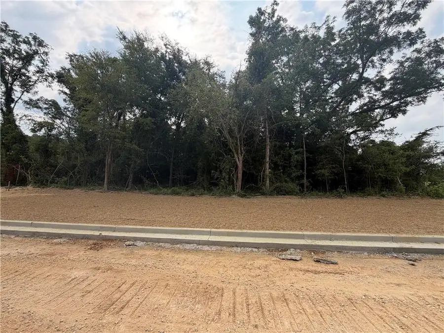 Lot 1 Homestead Lane, Smiths Station, AL 36877 - #2