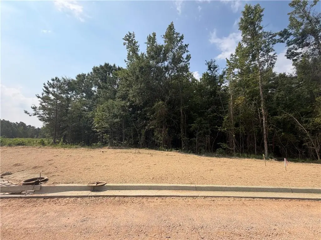 Lot 11 Homestead Lane, Smiths Station, AL 36877 - #1