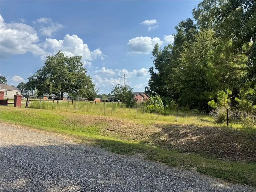 00 Bethel Road, Pittsview, AL 36871 - #1