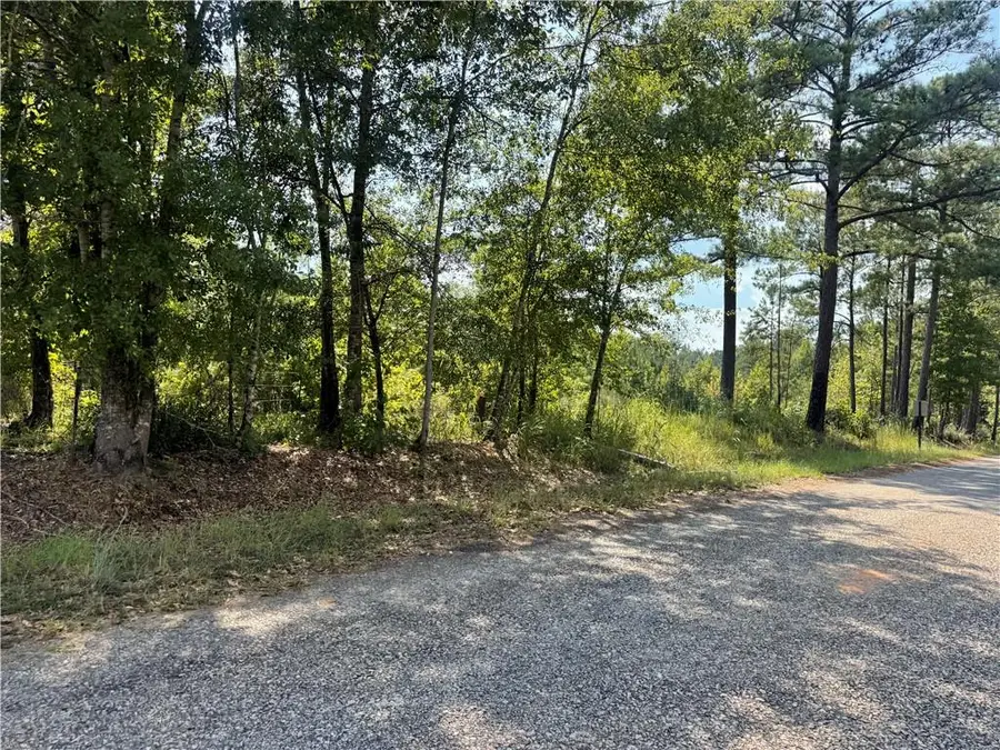 00 Bethel Road, Pittsview, AL 36871 - #2