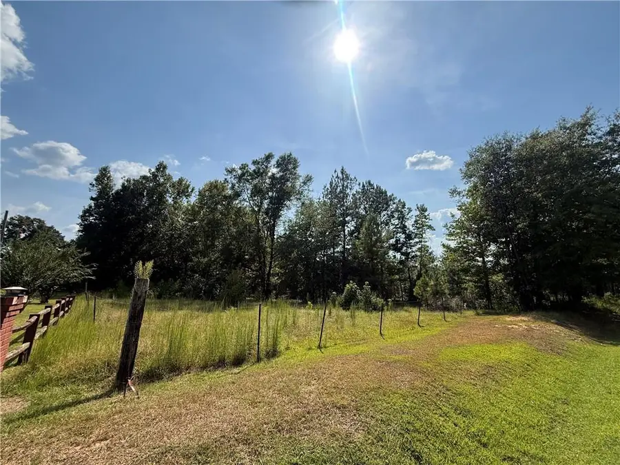 00 Bethel Road, Pittsview, AL 36871 - #3