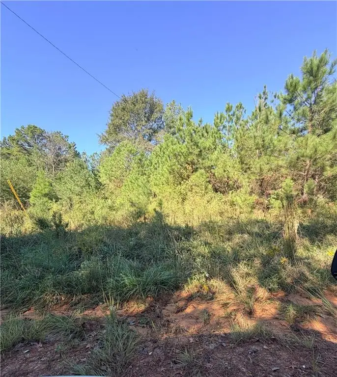 0 Mccall Rd, Clayton, AL 36016 - #2