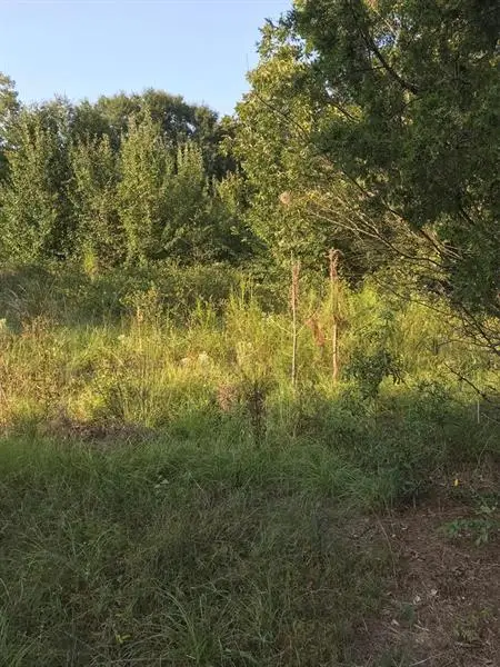 0 Lee Rd 243, Smiths Station, AL 36877 - Image #1