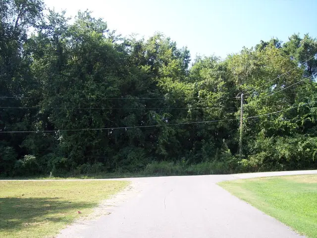 0 1st Ave #1, Muscle Shoals, AL 35661 - Image #2