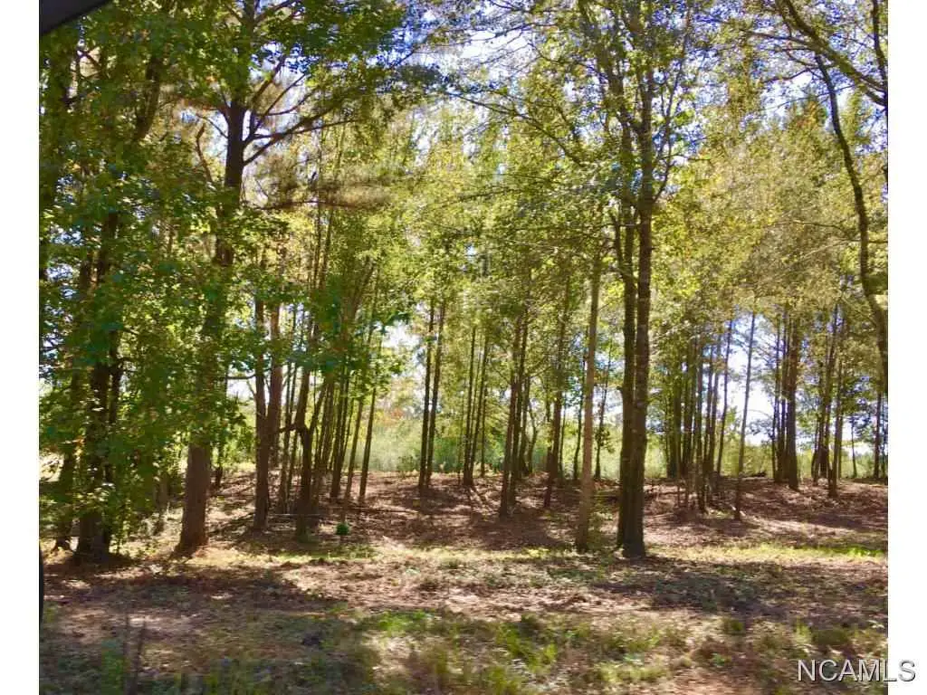 4271 Co Rd 1669, Cullman, AL 35058 - Image #1