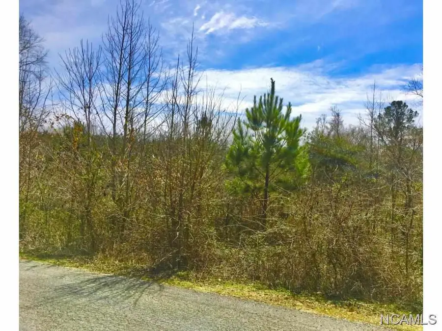 265 Riverview Dr, Cleveland, AL 35049 - Image #2