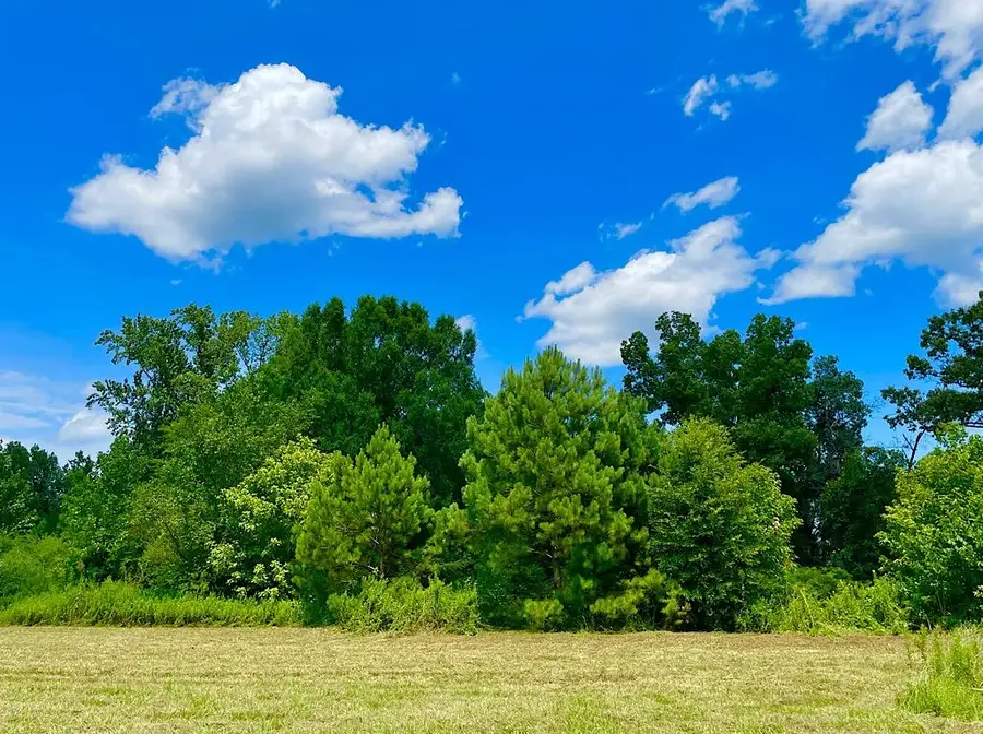 750 Co Rd 503, Hanceville, AL 35077 - Image #2