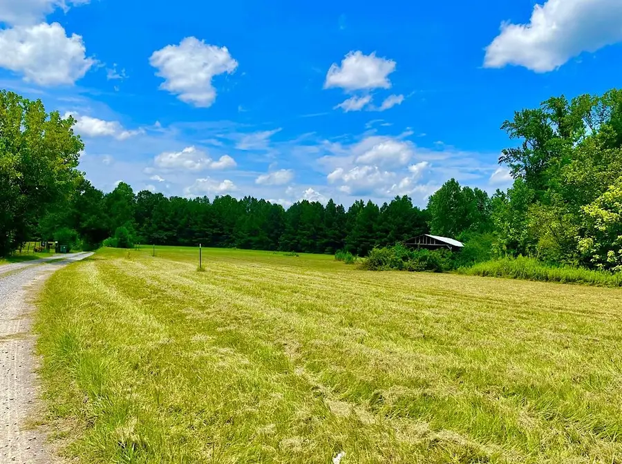 750 Co Rd 503, Hanceville, AL 35077 - Image #3