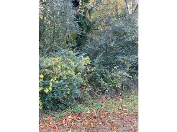 0 Campbell Cir, Florence, AL 35630