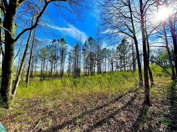 4191 Co Rd 1669, Cullman, AL 35058