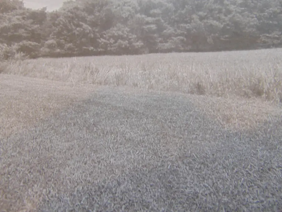 01 Green Meadow Rd, Huntsville, AL 35810 - #2