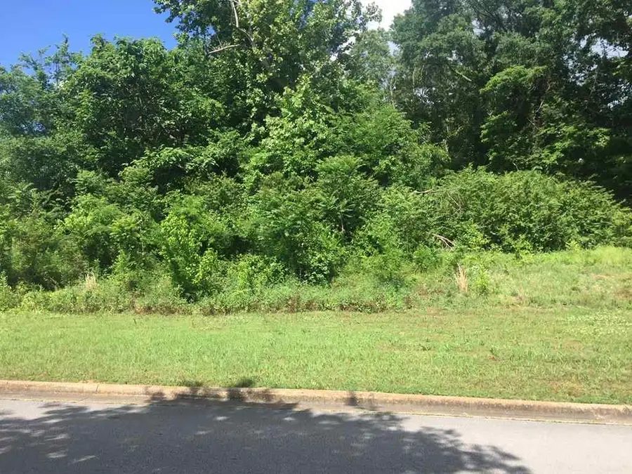 0 Hightower Place, Florence, AL 35631 - Image #2