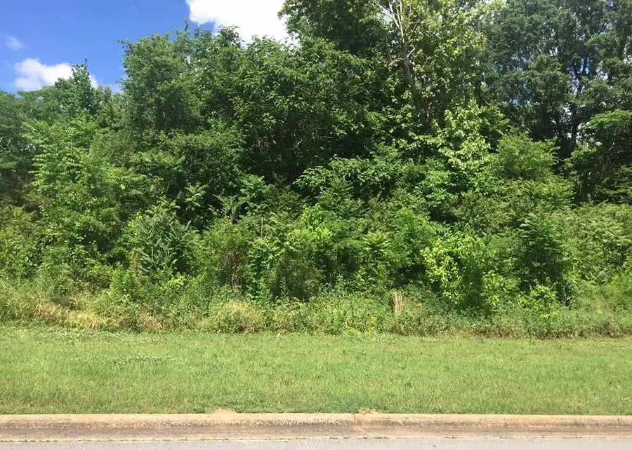 0 Hightower Place, Florence, AL 35631 - Image #3