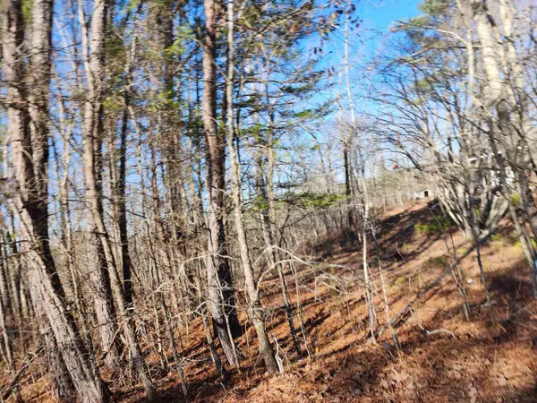 Lot 4 Carrollton Dr #Lot 4, Cullman, AL 35055