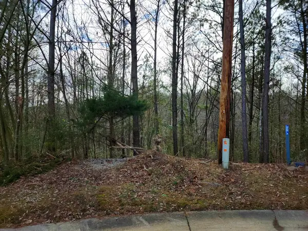 Lot 10 Co Rd 1636 #Lot 10, Cullman, AL 35058