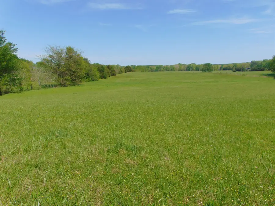 2000 Co Rd 33, Killen, AL 35645 - Image #2