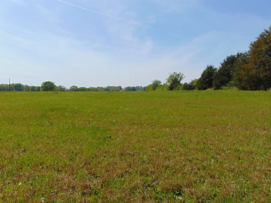 2000 Co Rd 33, Killen, AL 35645 - Image #3