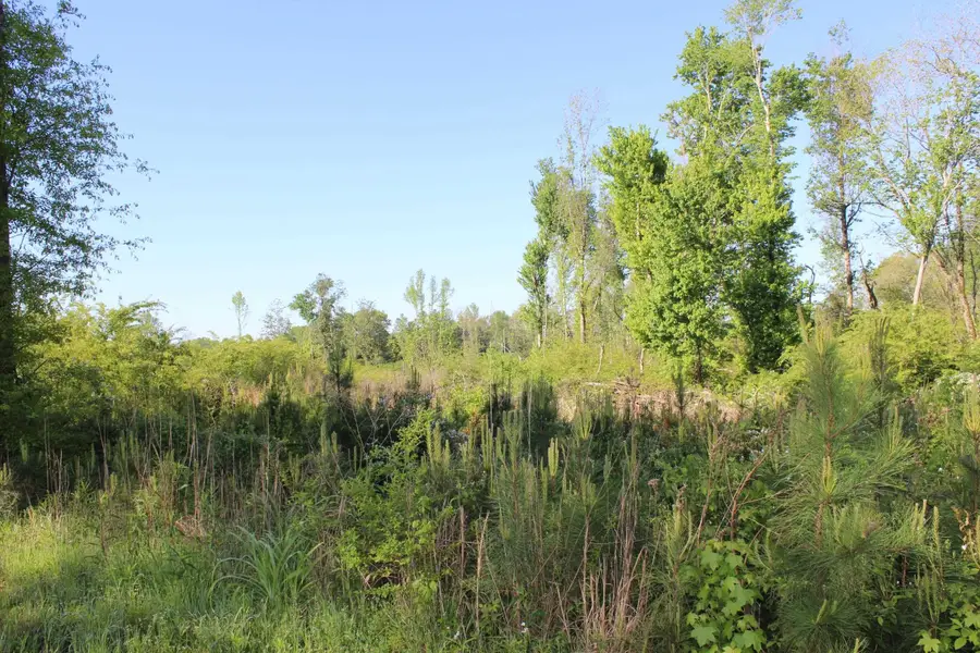 0 Welti Rd, Cullman, AL 35055 - Image #3