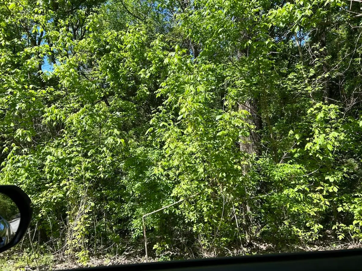 Lot 2 Co Rd 1123, Cullman, AL 35058 - Image #1