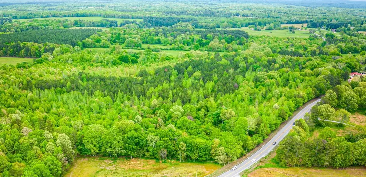 Tract 7 Hwy 20, Waterloo, AL 35677 - Image #1