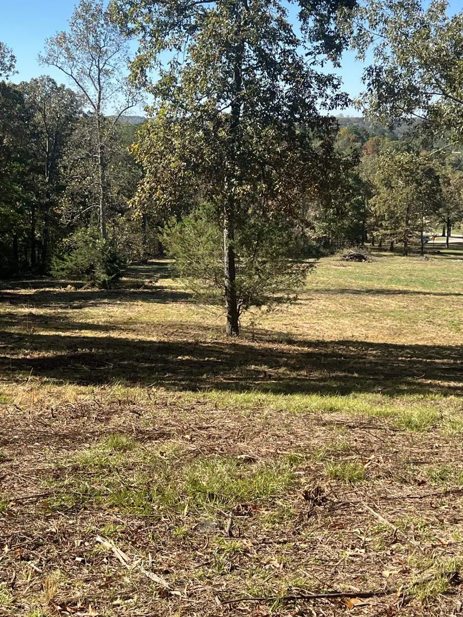 000 Lost Creek Rd, Russellville, AL 35653 - Image #3