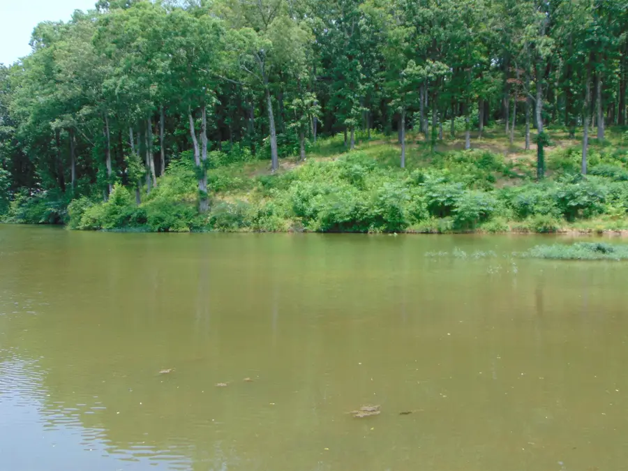 002 Wilson Lake Shores Rd, Muscle Shoals, AL 35661 - Image #3