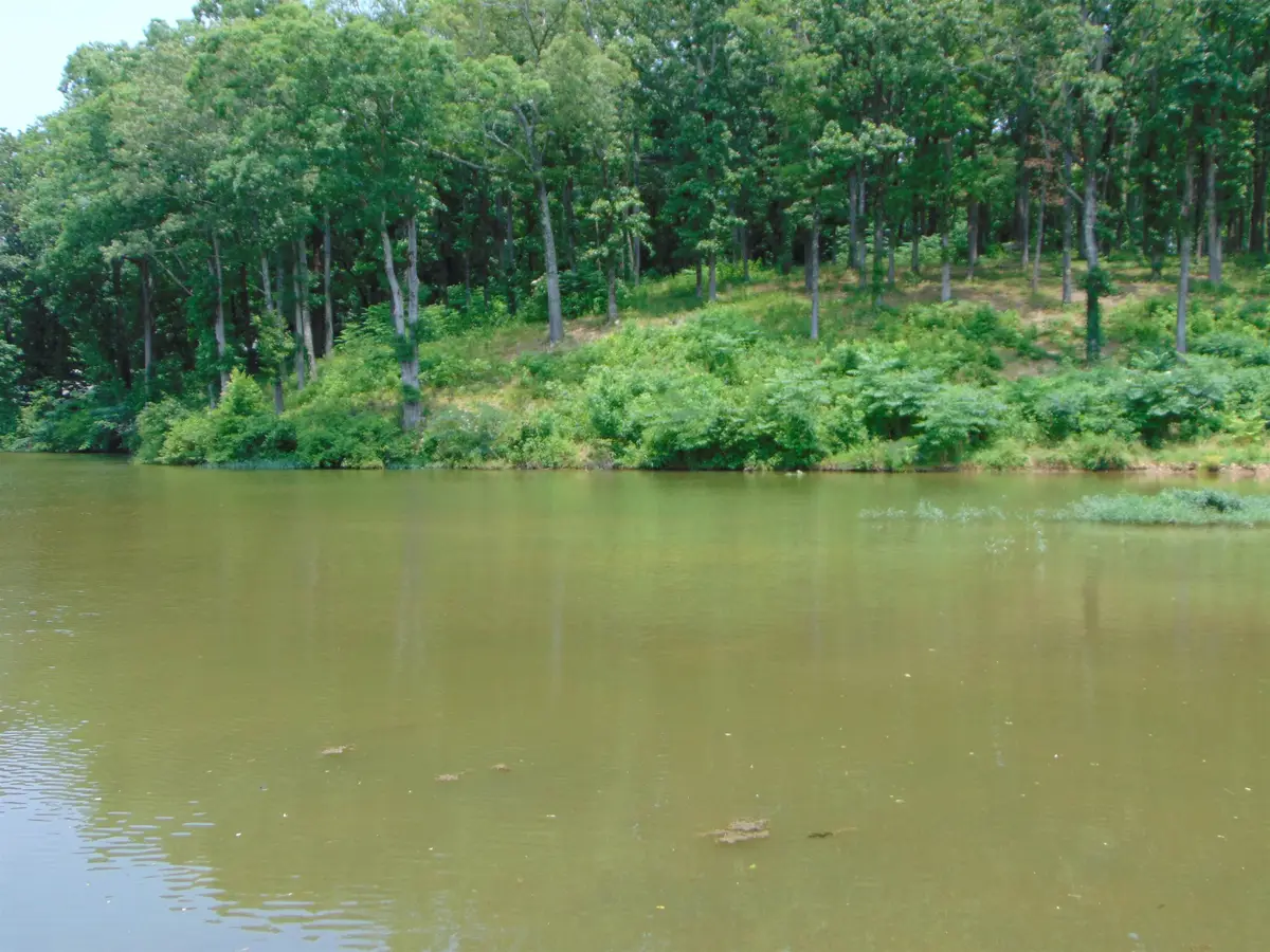 003 Wilson Lake Shores Rd, Muscle Shoals, AL 35661 - Image #1