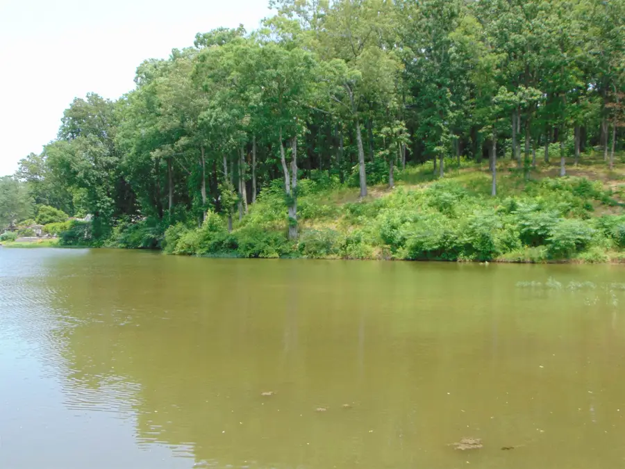 003 Wilson Lake Shores Rd, Muscle Shoals, AL 35661 - Image #2