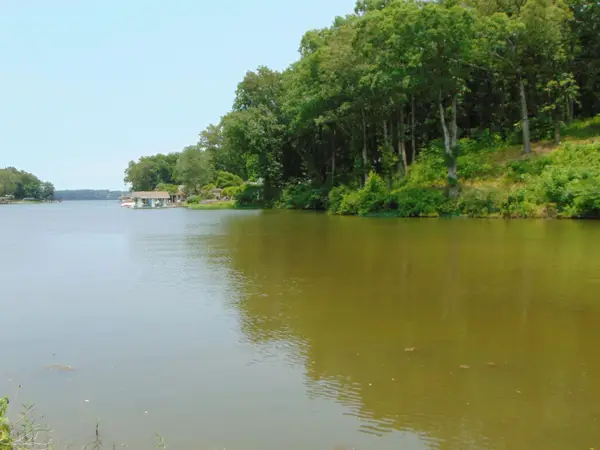 004 Wilson Lake Shores Rd, Muscle Shoals, AL 35661